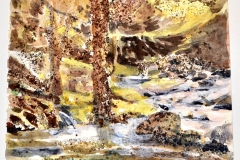 6dessin-torrent