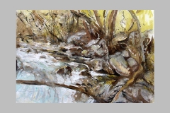 Etude de torrent. Aquarelle   15 x 10    2003